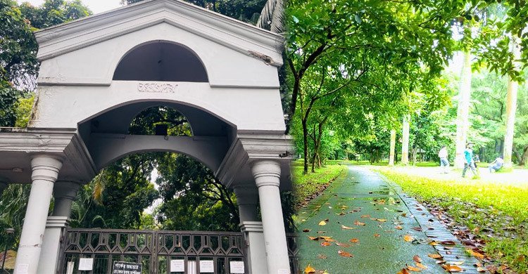 রমনার গাছগুলো কি সবকিছু মনে রাখে?